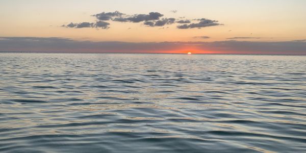 sunset gulf of mexico